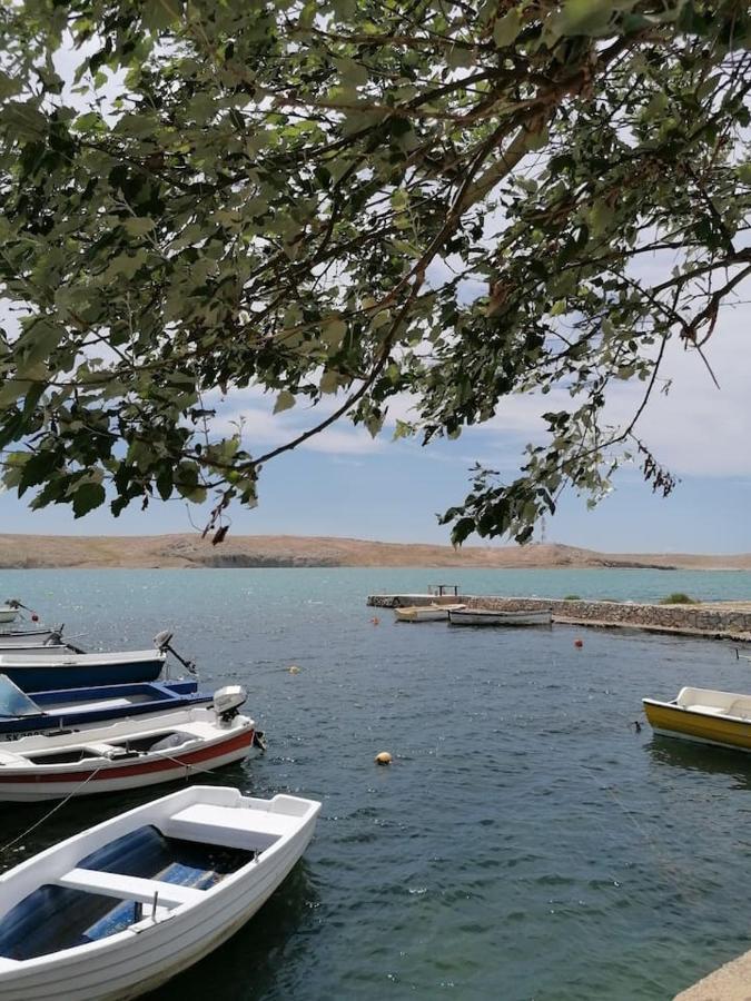 Apartman Lidija Dinjiška Exteriér fotografie